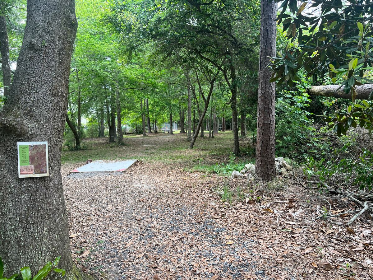 Hole 4 Blue