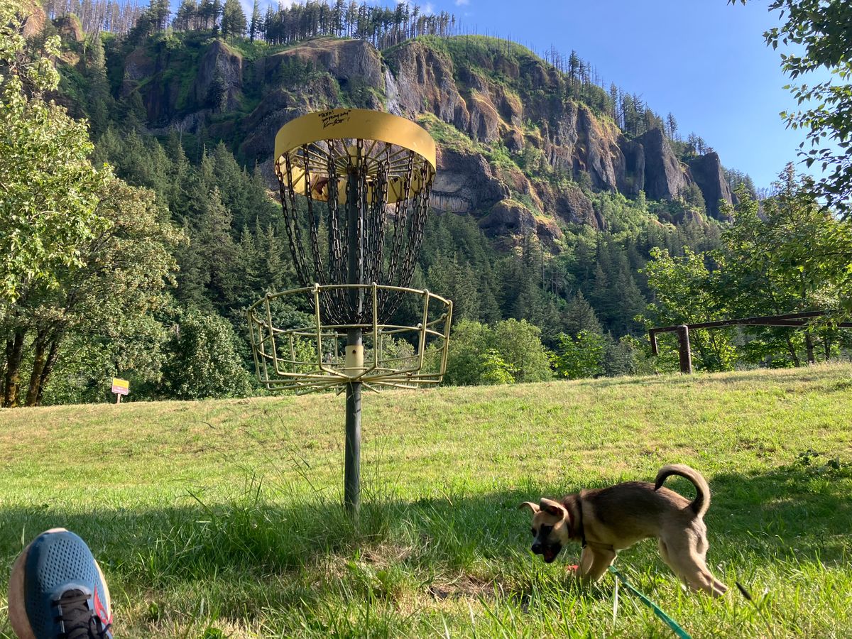 View from basket 8.  Puppy for scale