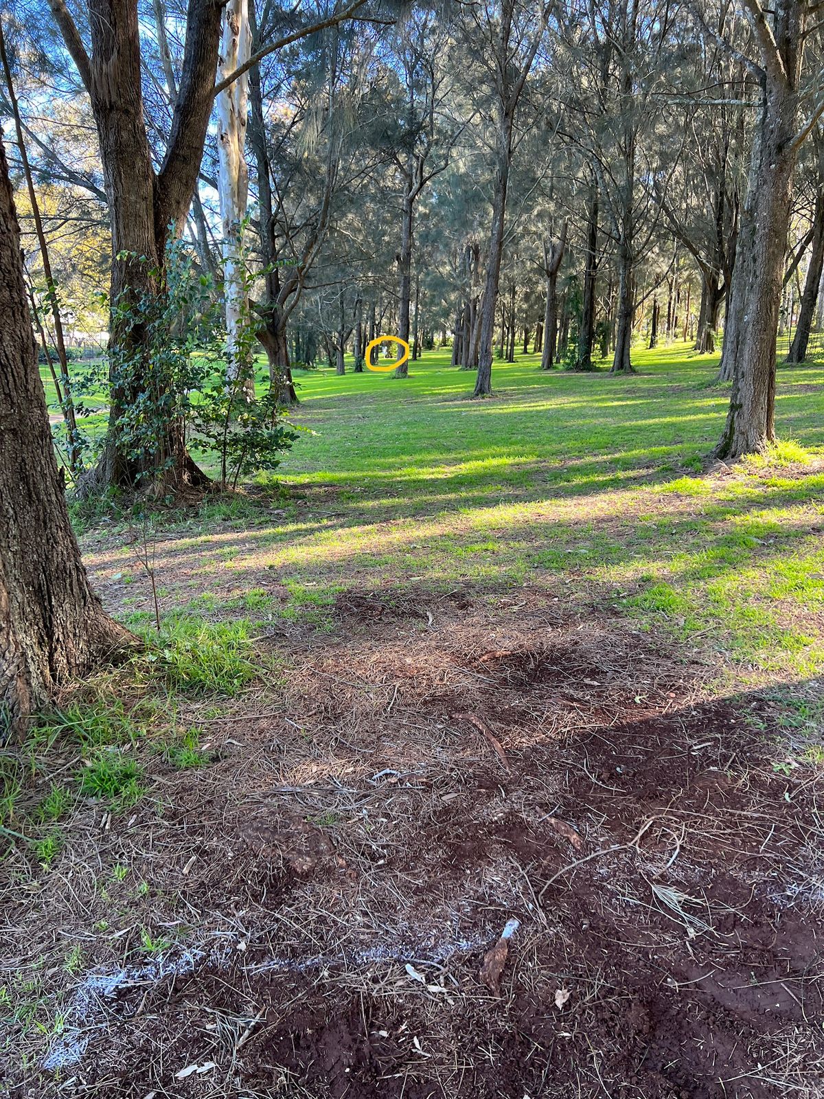 Alt 3 hole 12