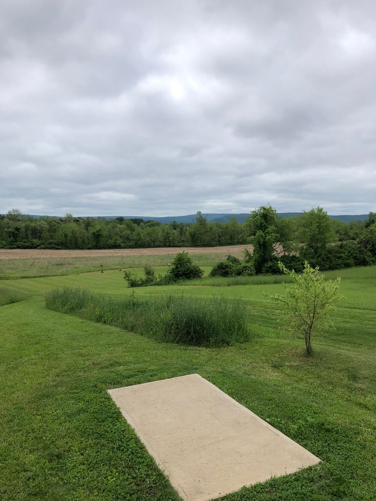Hole 1 tee
