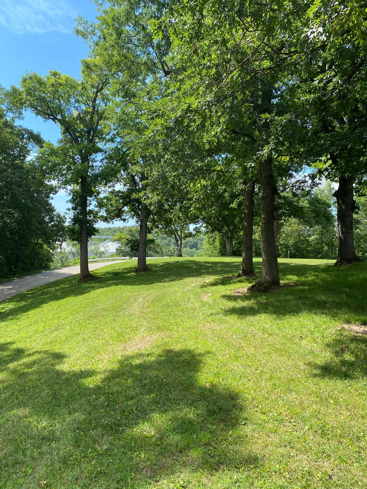 Hole 7 Mid-Fairway