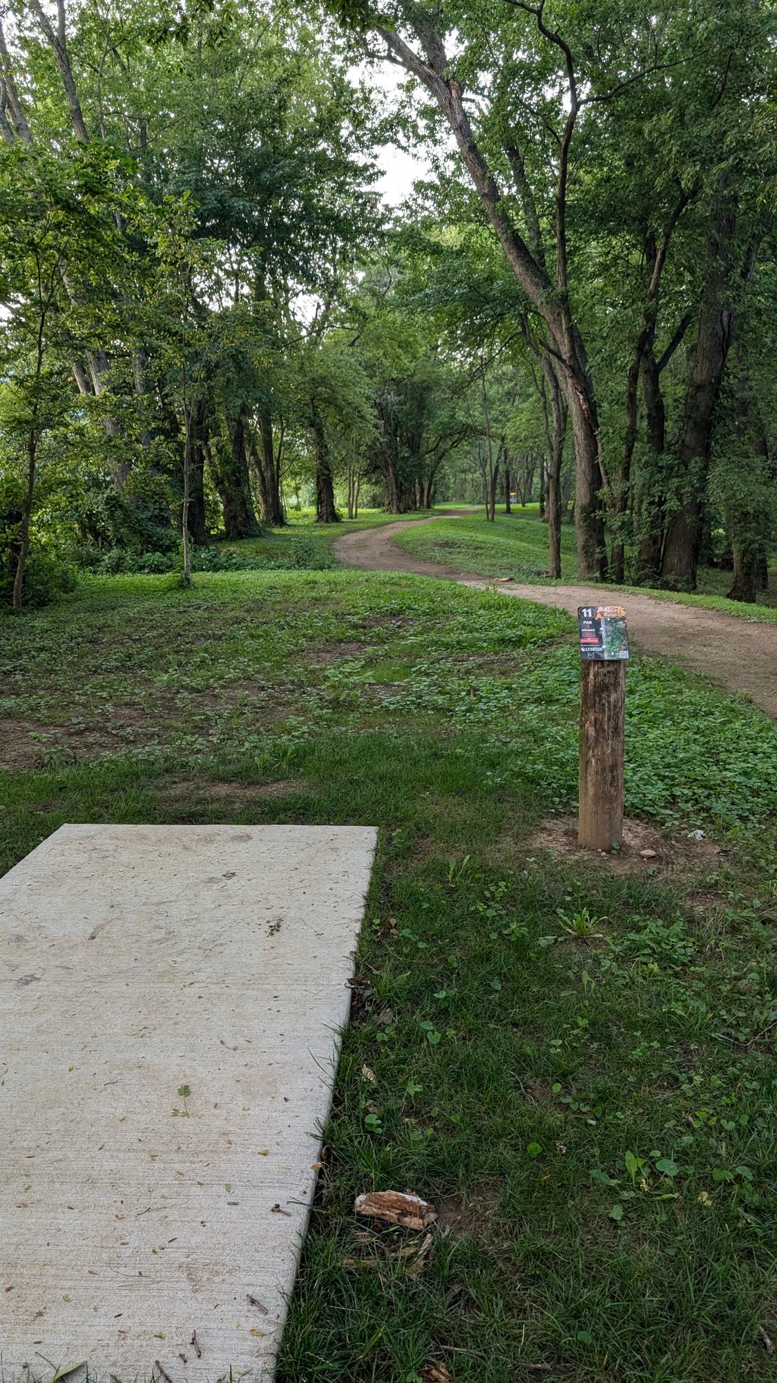 Hole 11 tee