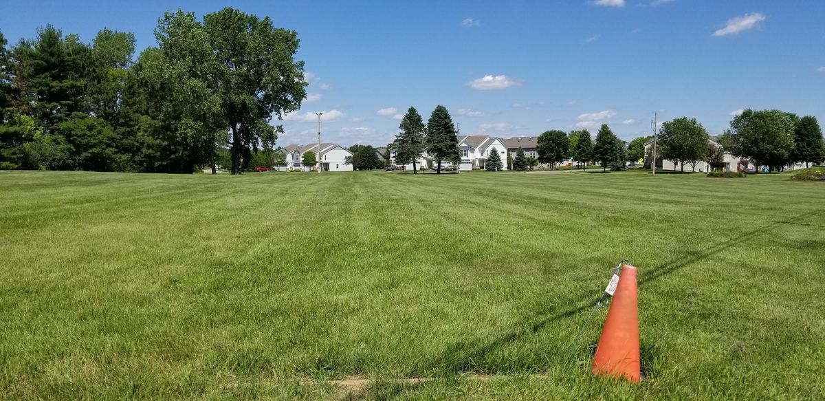 Hole 6 - basket between the trees.