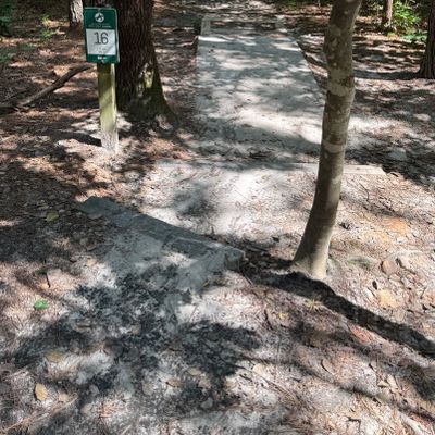Hole 16 Tee Pad