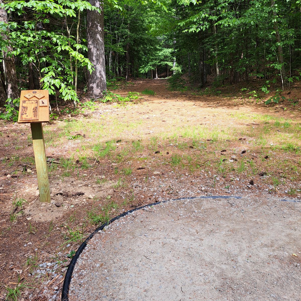 Hole 9
