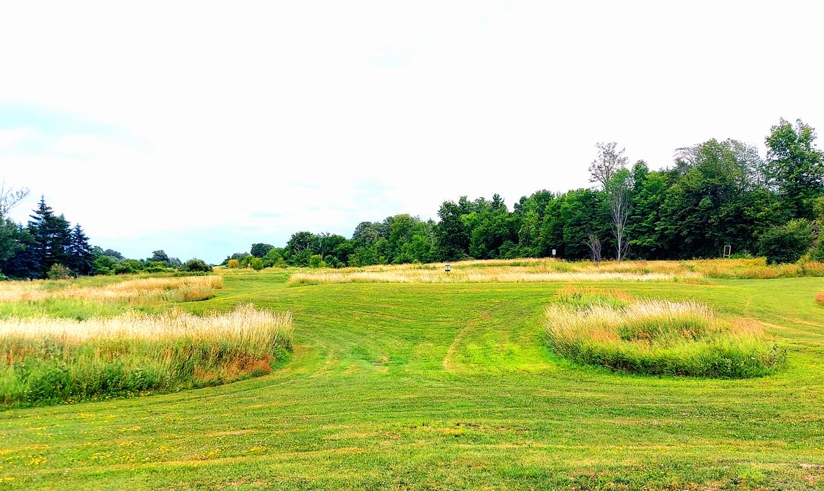 Tee pad 3.