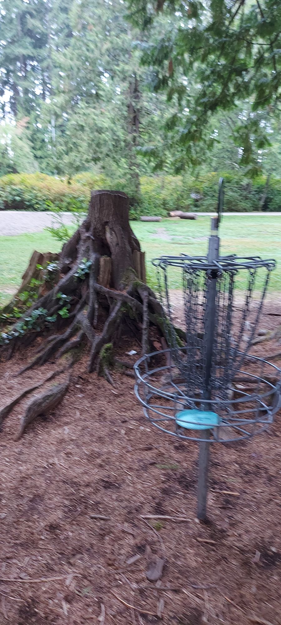 Mundy Park