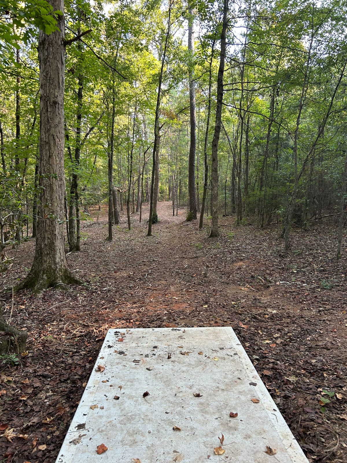 once you finish, make a left then after the bridge you’ll make a sharp right up the hill to 8’s tee