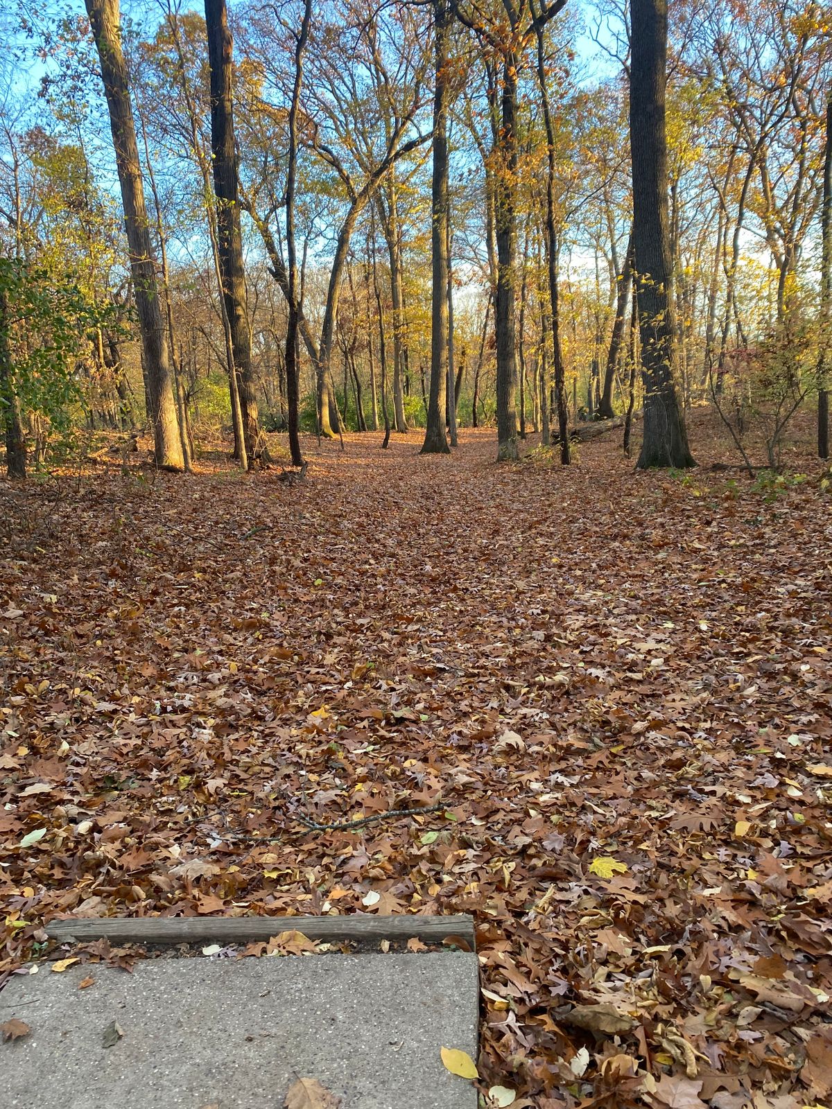 Hole 9 Tee Pad