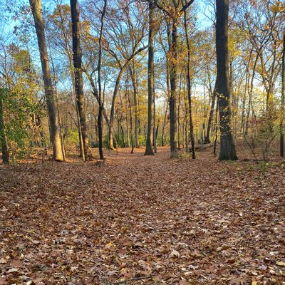 Hole 9 Tee Pad
