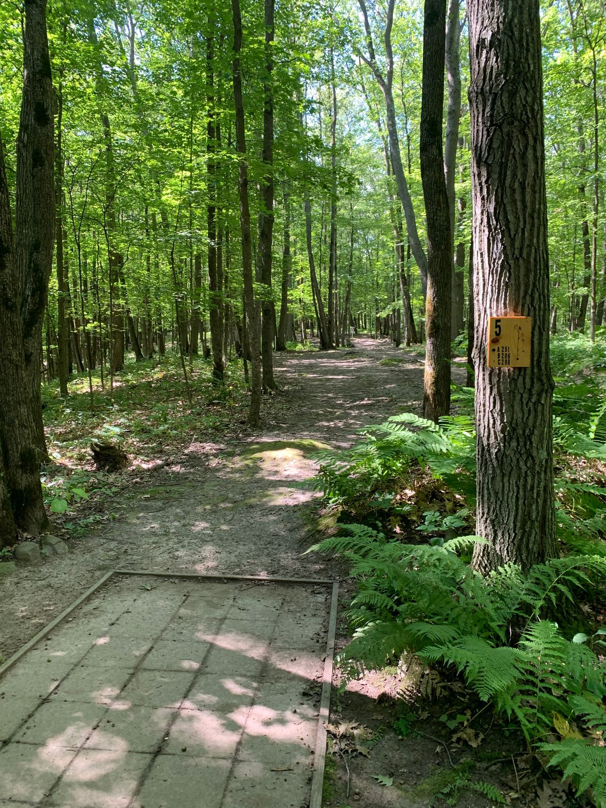 Hole 5