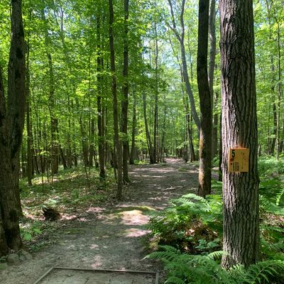 Hole 5