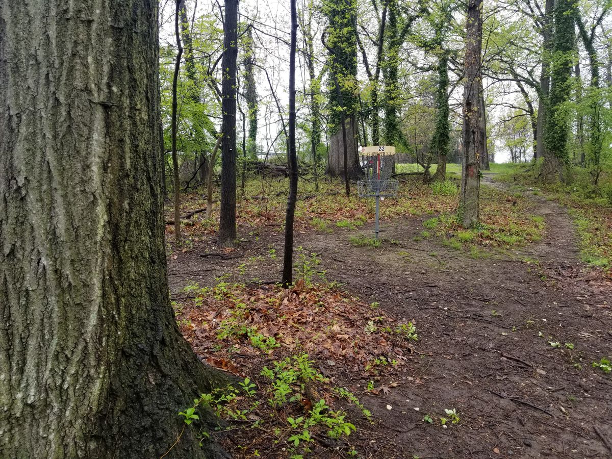 Short pin for #2 behind large tree when looking from teepad