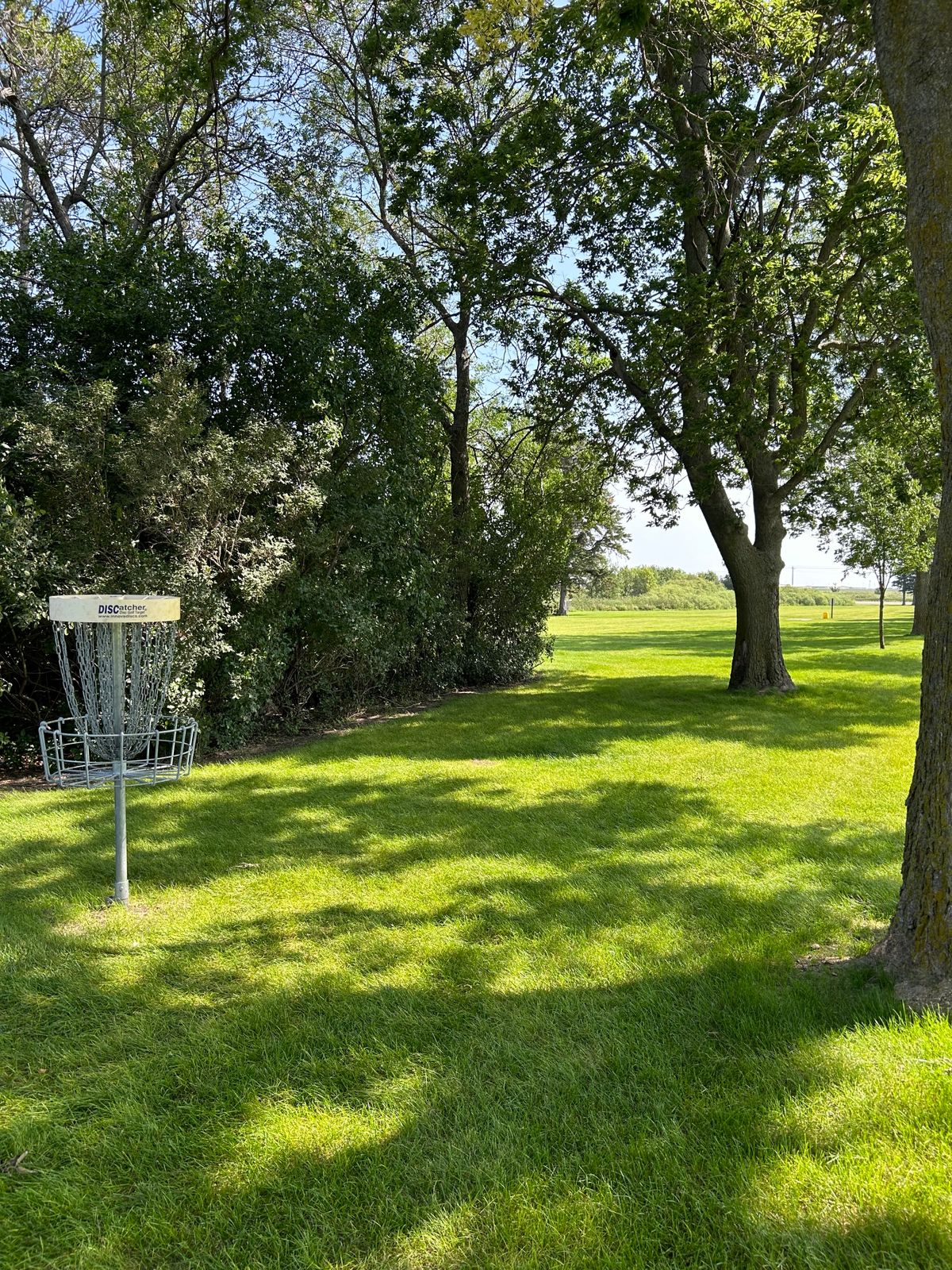 Green of hole 5
