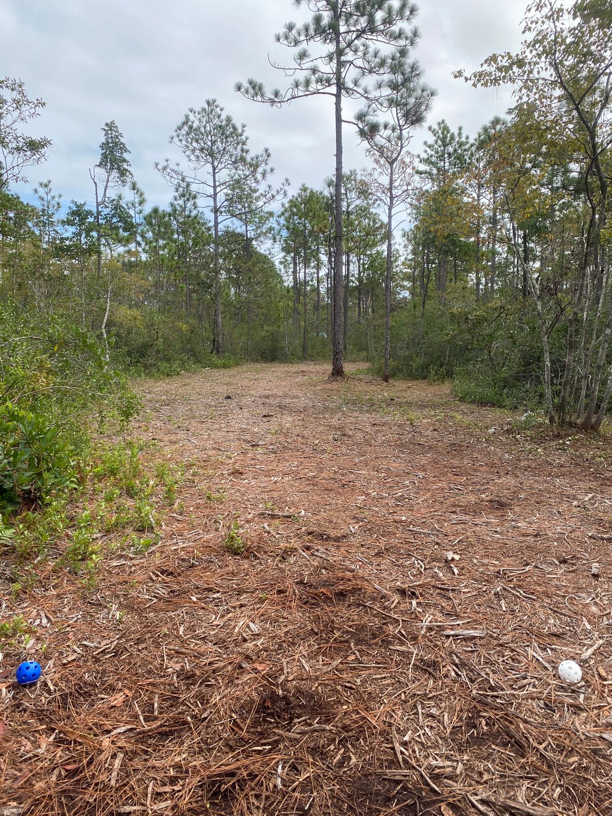Hole 2