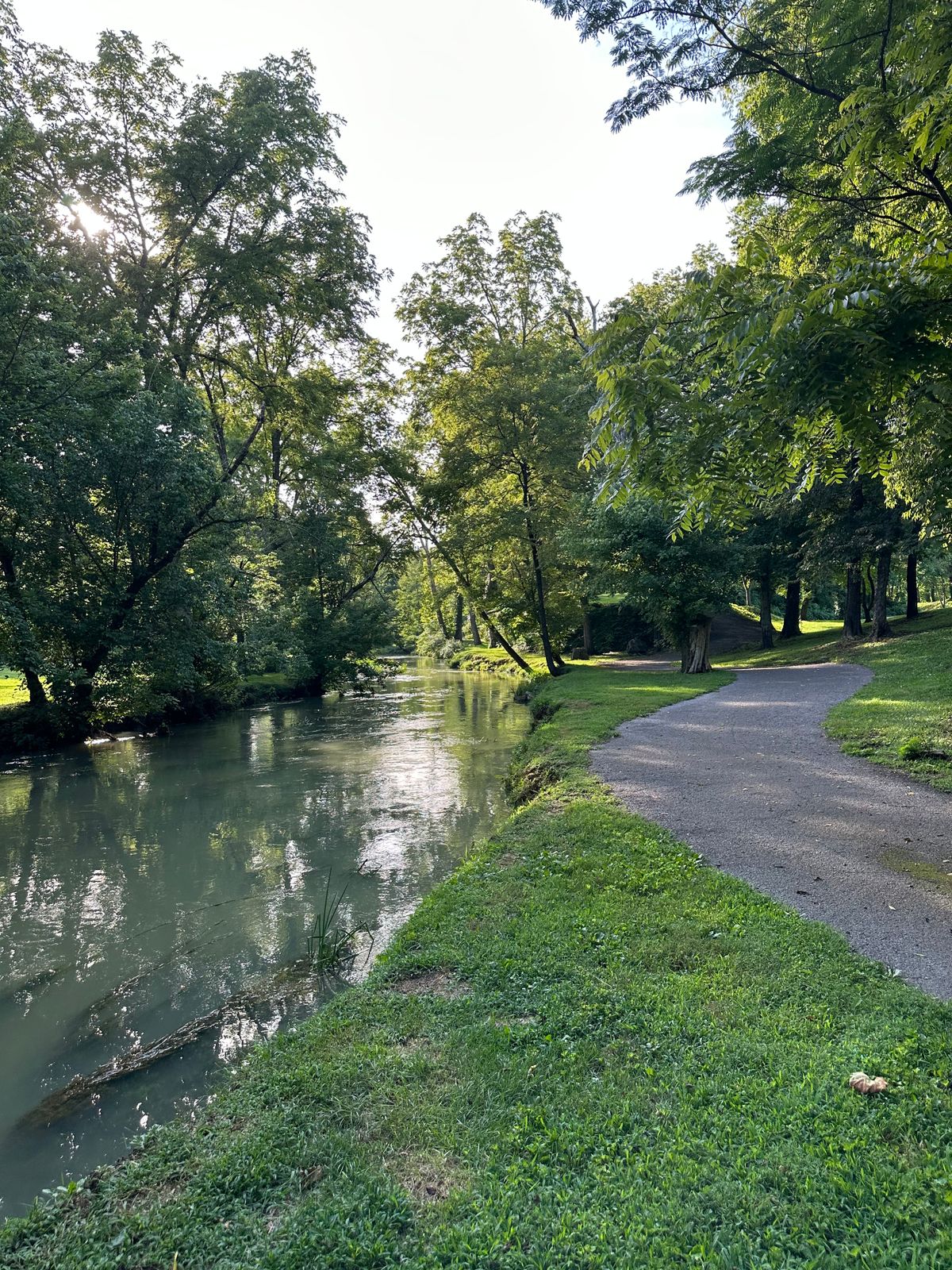 Mossy Creek