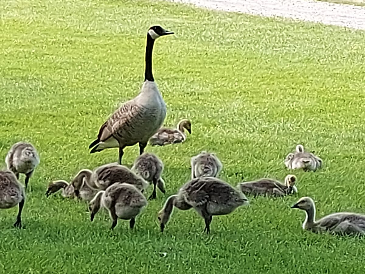 Mother 👀 me closely .