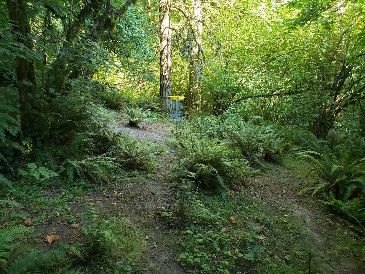 The sixth hole basket.