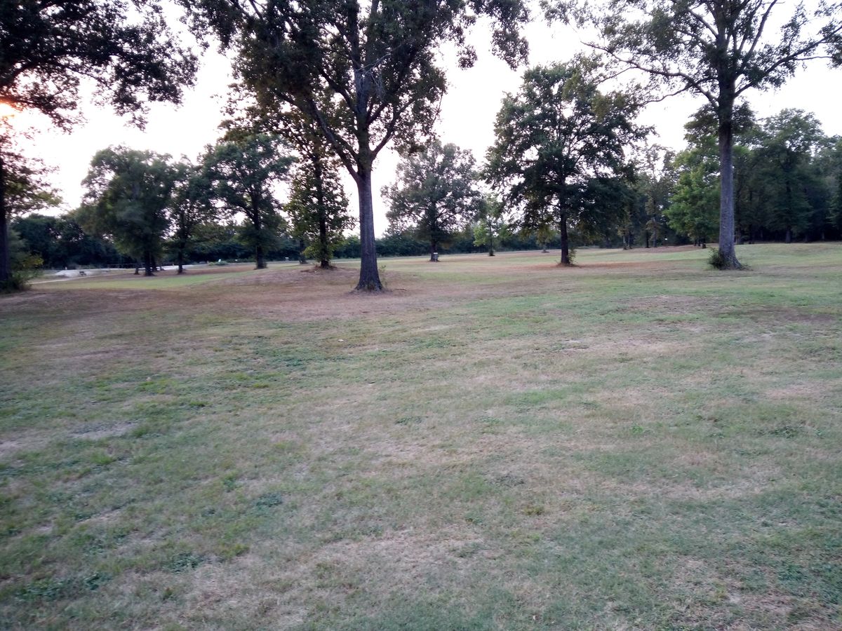 Hole 3 Tee