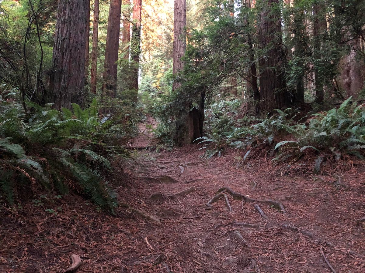 Hole 18