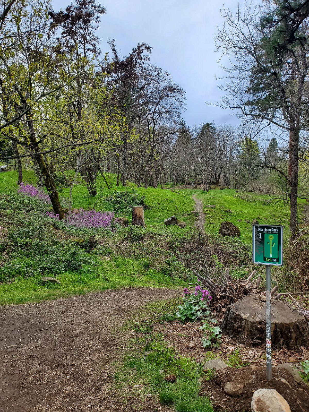 Hole 1 cleaned up w fresh signage