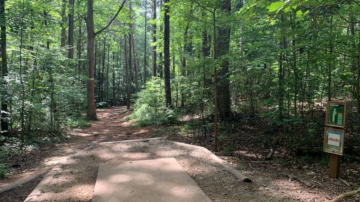 Hole 11