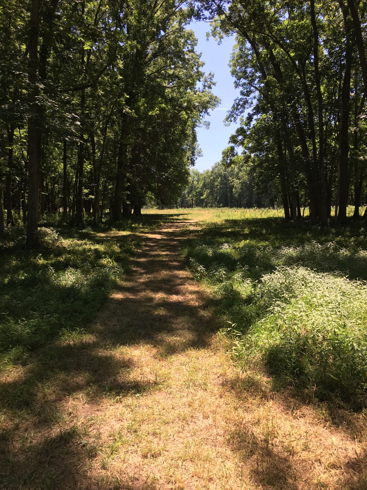 Hole 5 Tee