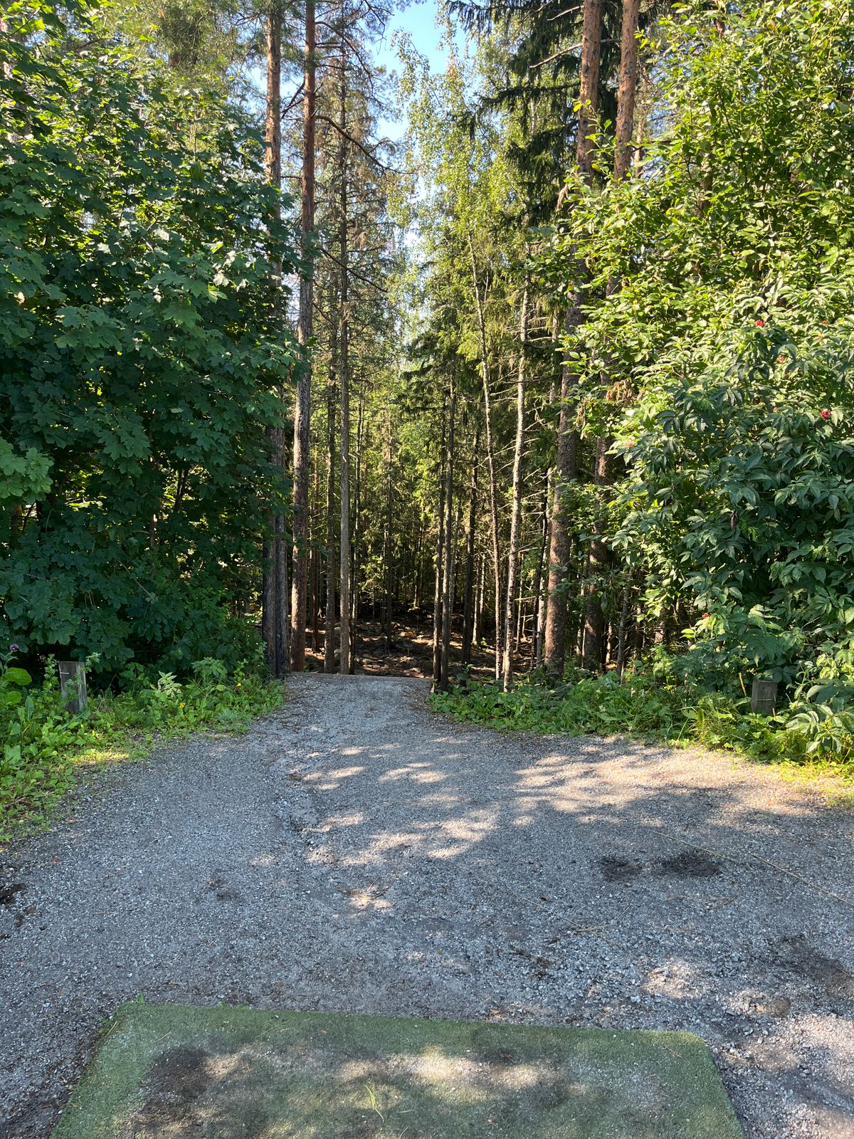 Hole 8, tee