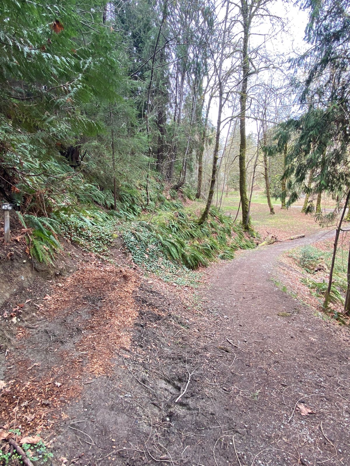 Hole 14 tee