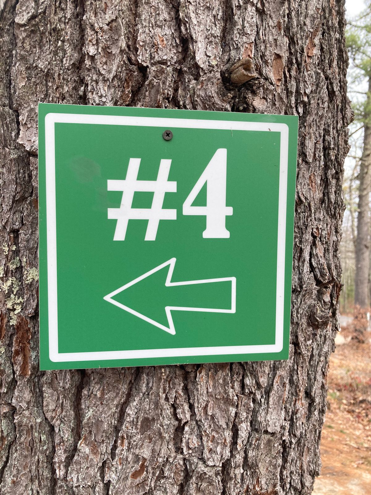 Next tee markers on every hole