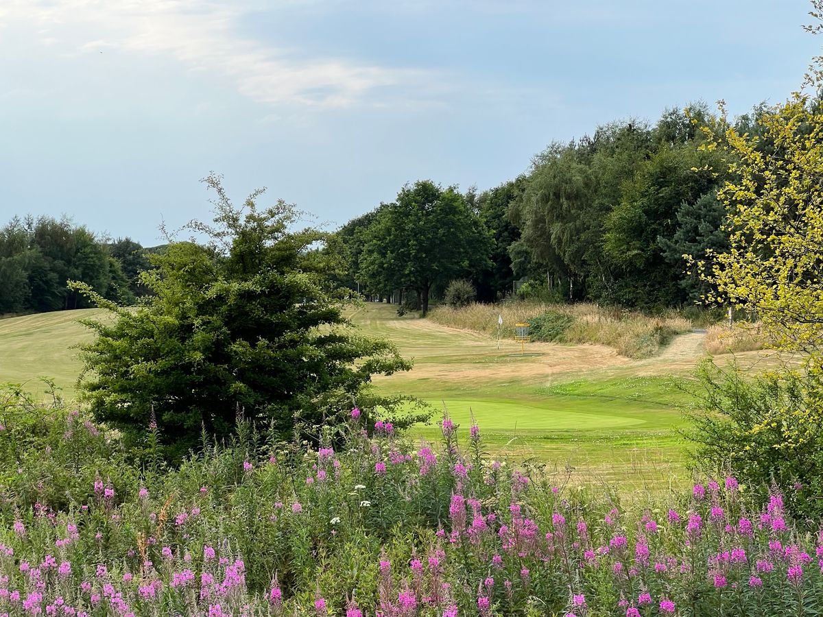 On my way over the bridge to Red tee 2, looking across to Red basket 16