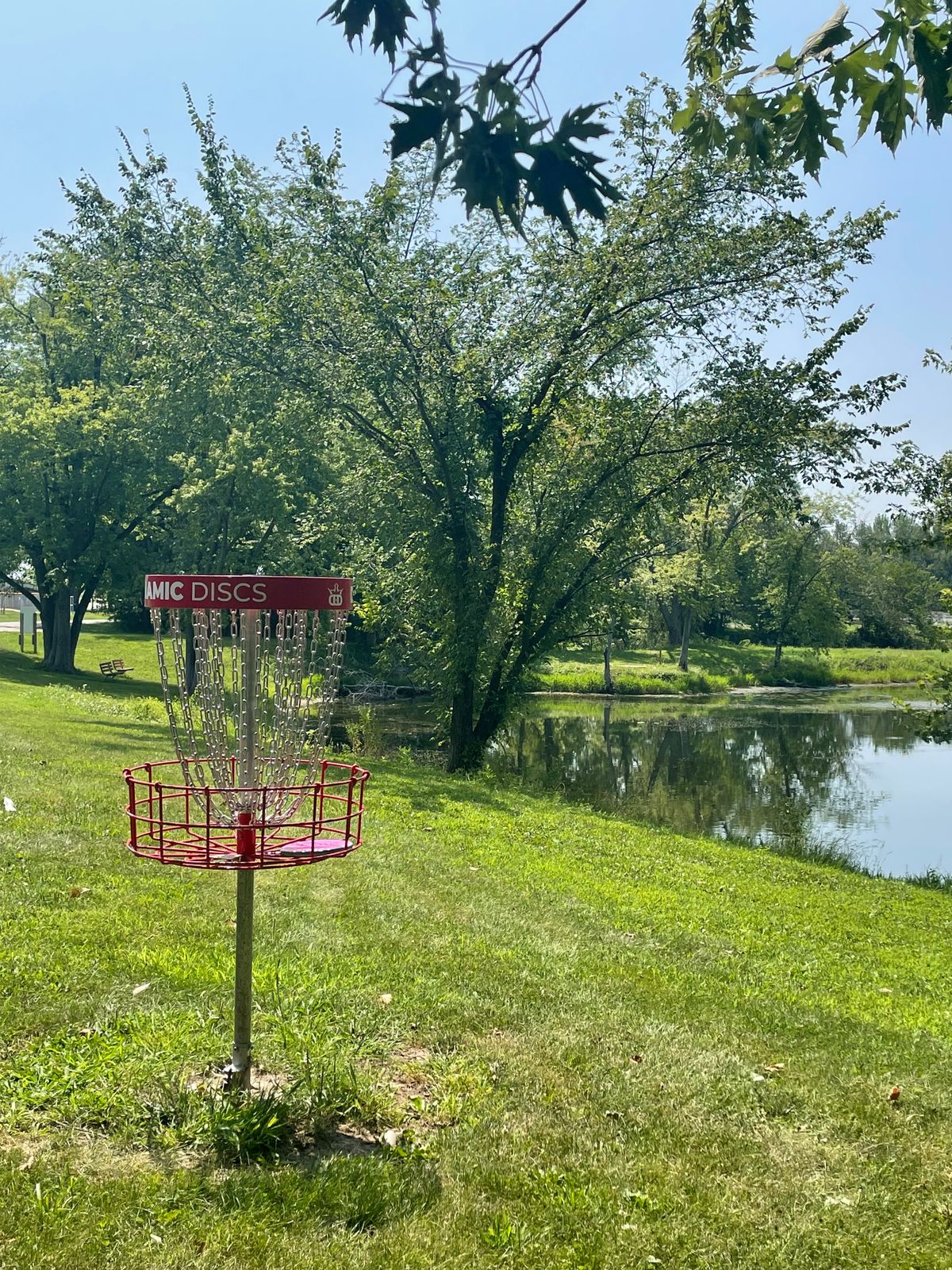 Hole 7 basket facing the teepad