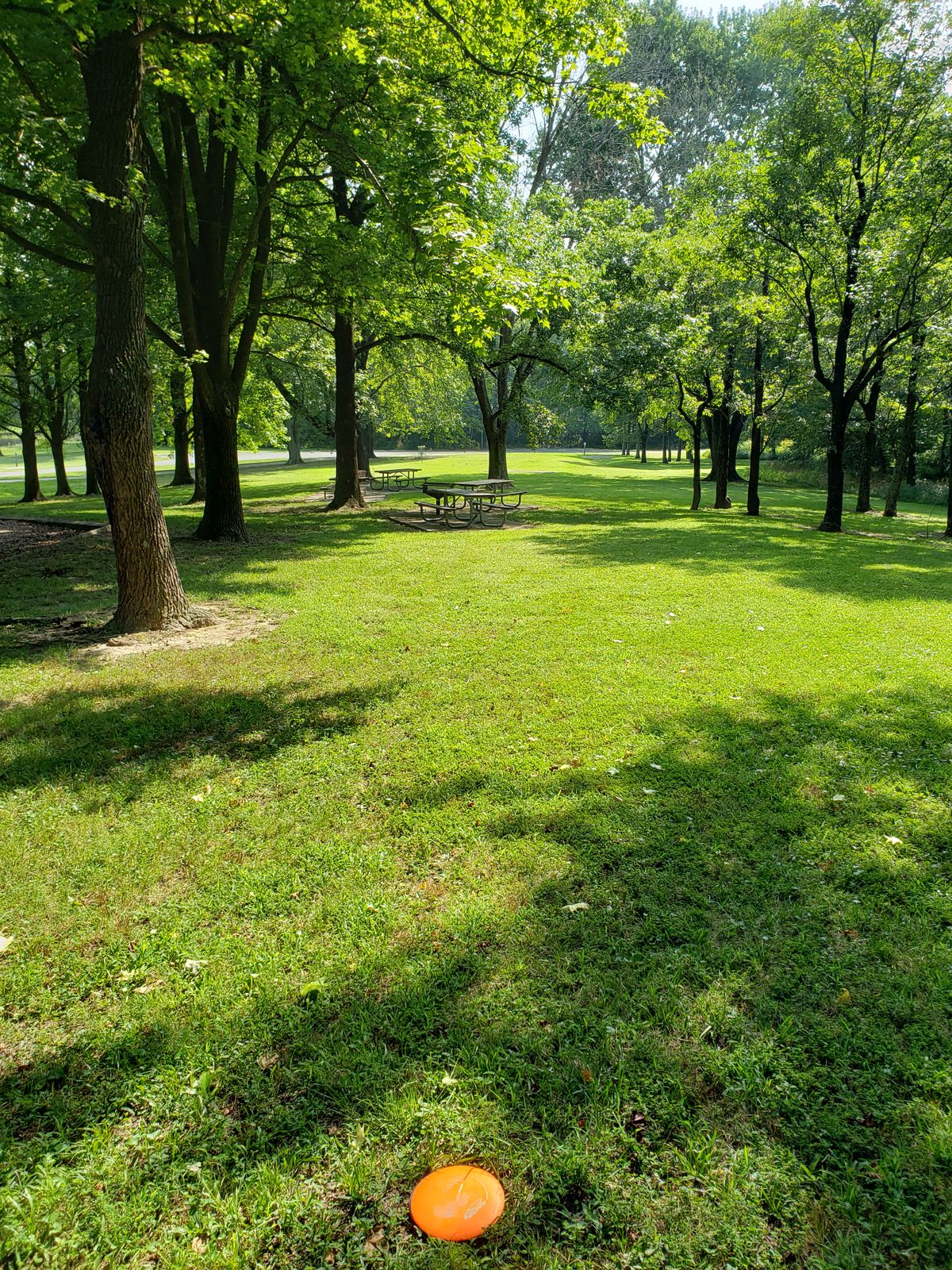 #14 Approach,  plays through picnic area