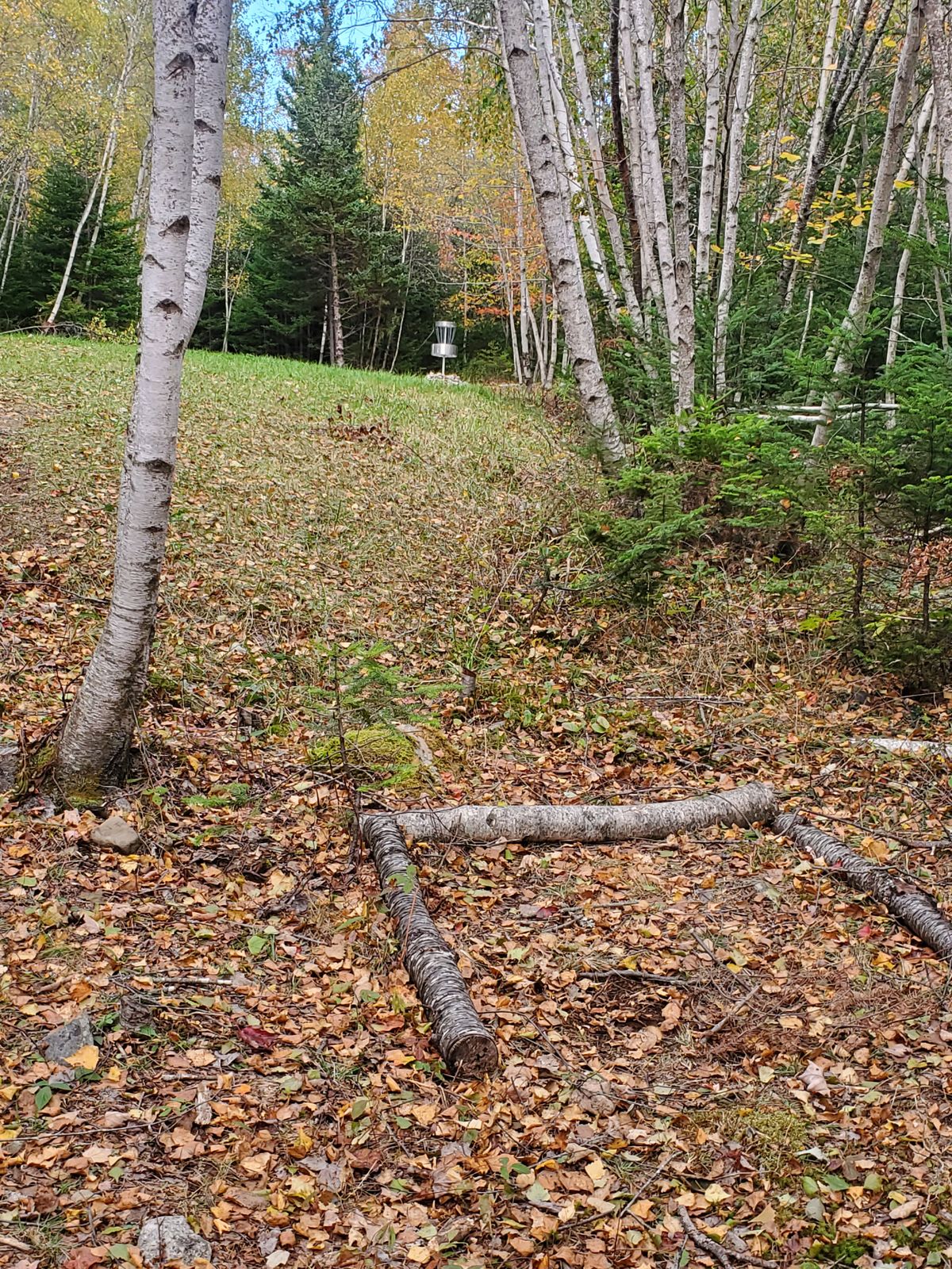Tee box 6