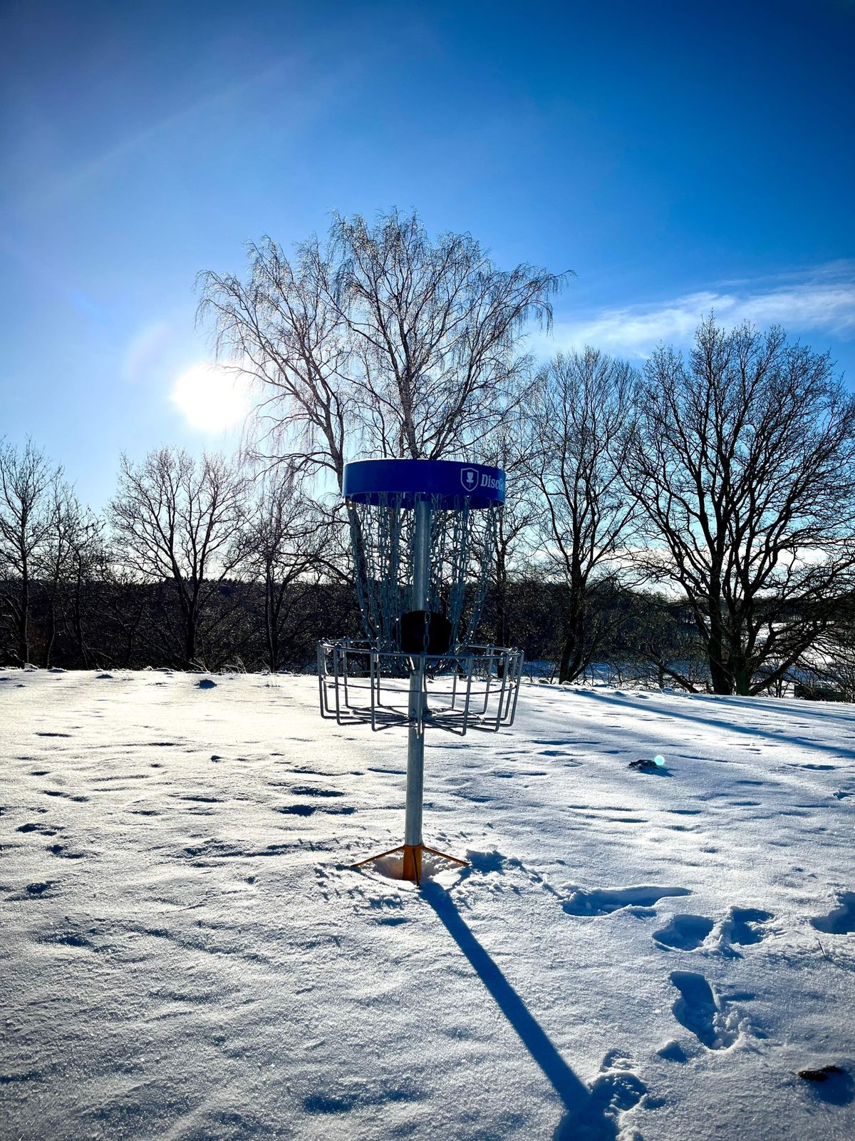 Blue/Gold layout green on hole 1 (Winter course)