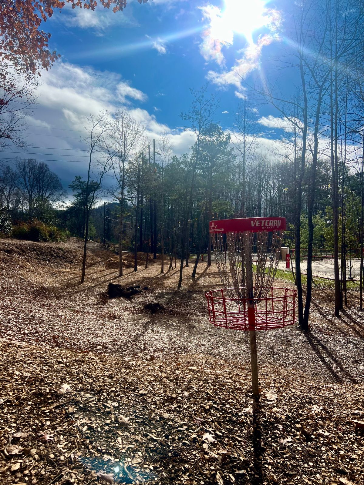 Basket 4: looking back toward the tee (in November).