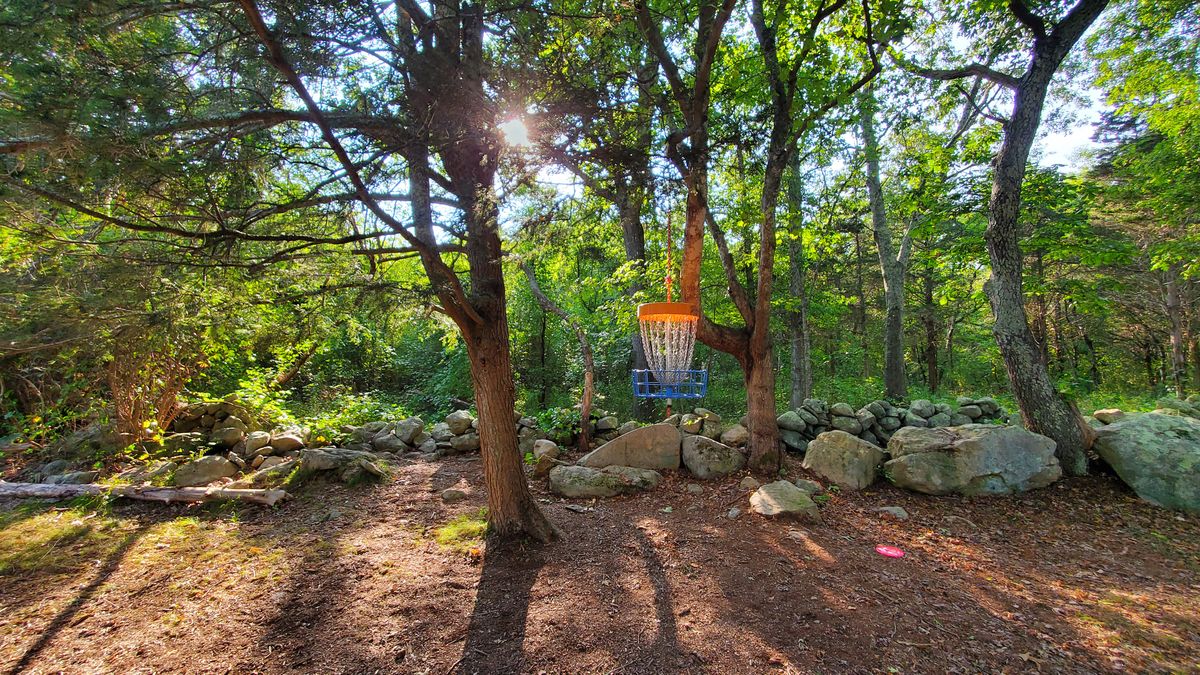 Hole 7 Hanging Basket