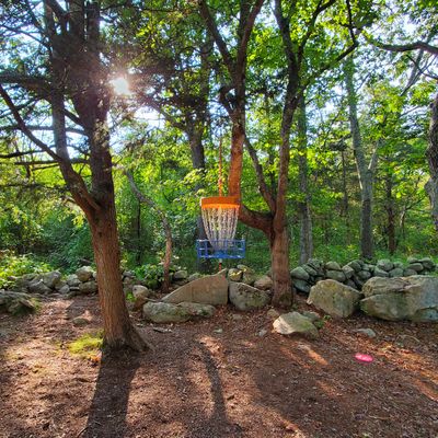 Hole 7 Hanging Basket