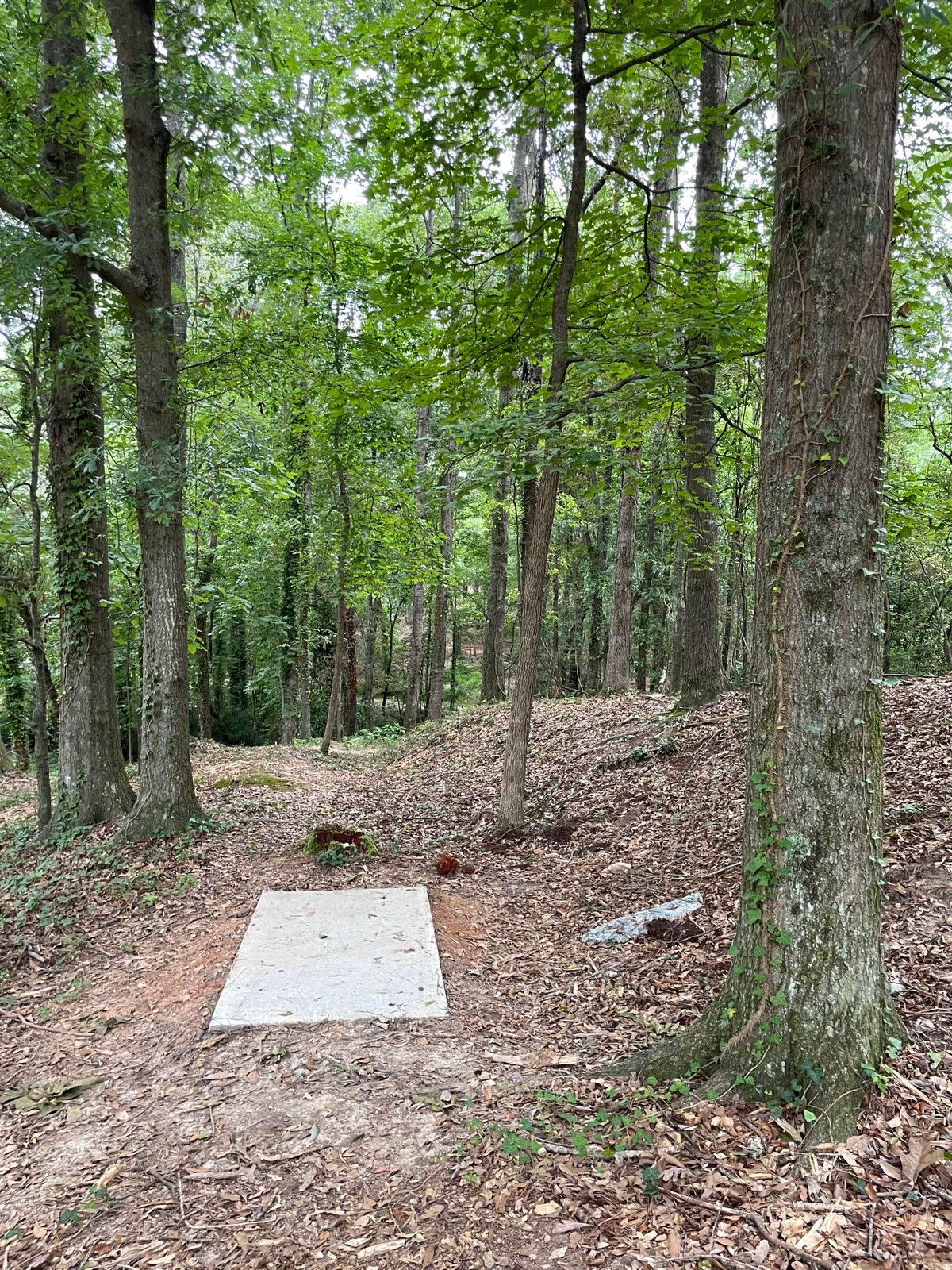 Tee 10