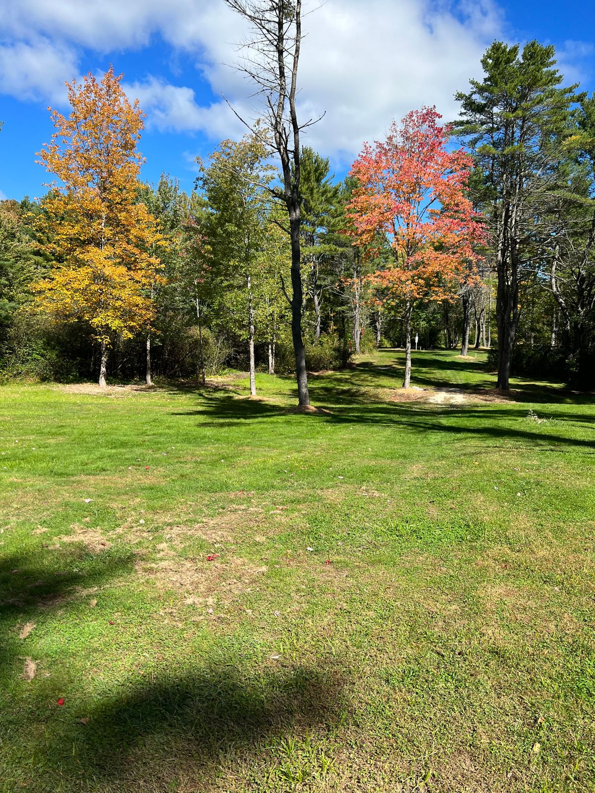 Hole 6