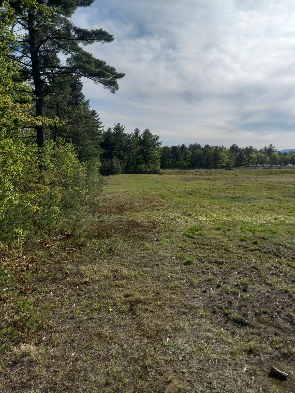 Hole 7