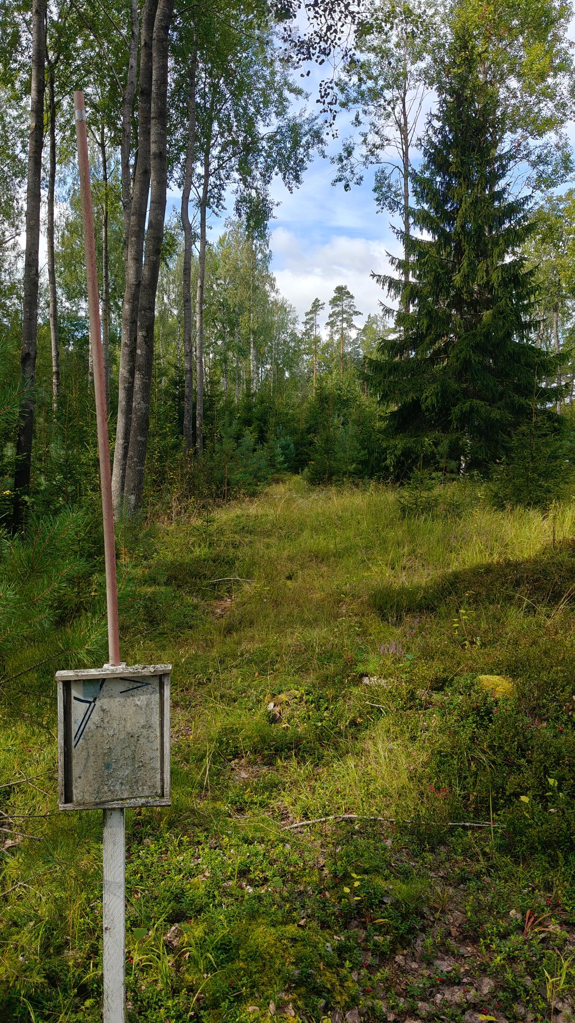 Hole 5