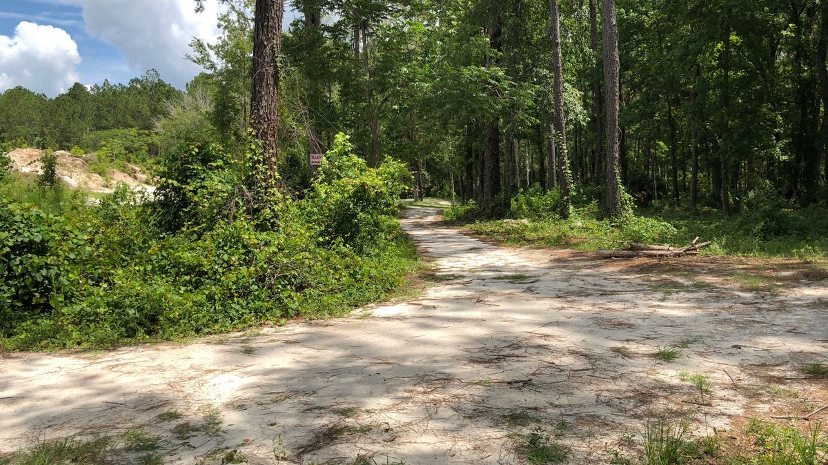 Hole 19