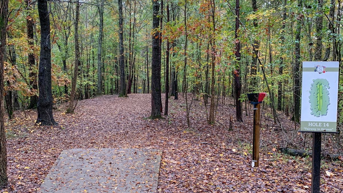 Hole 14