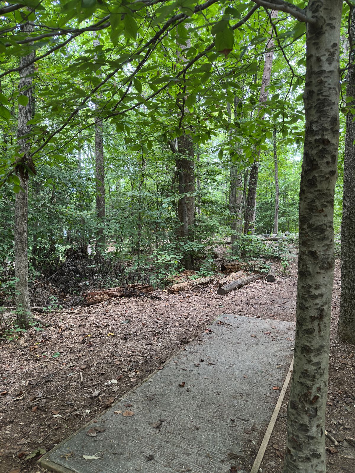 Hole 2 white tee