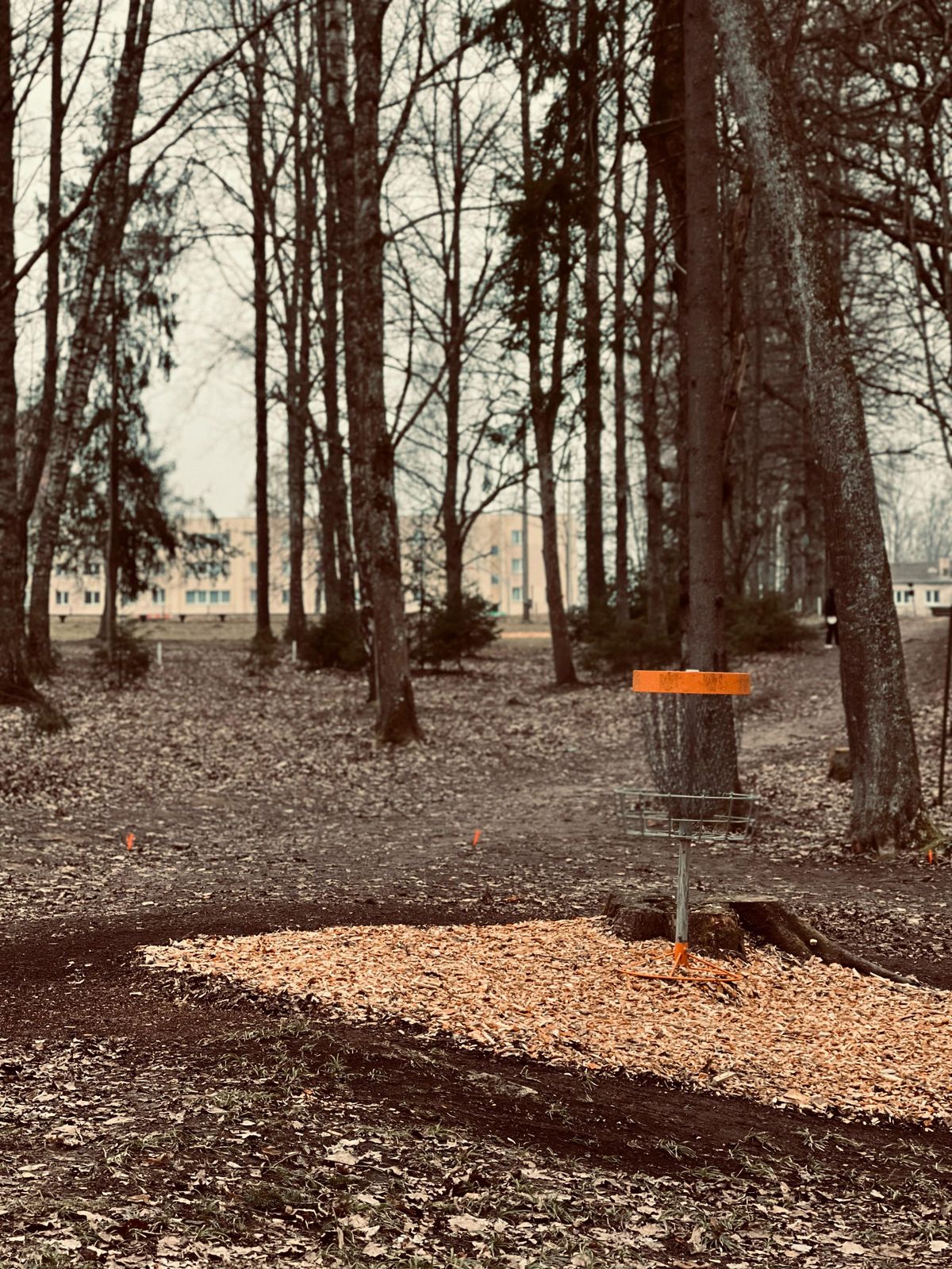 8th green