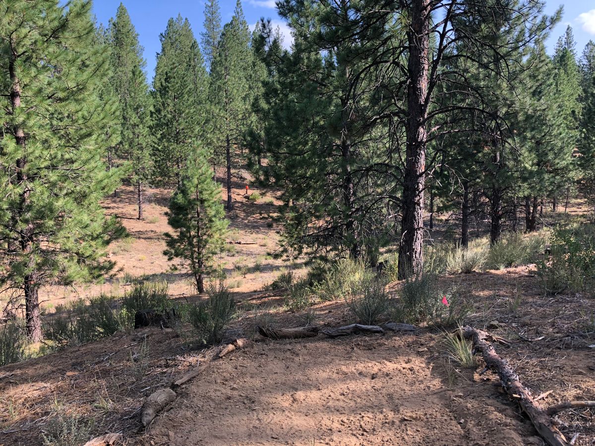 Hole 5 “Gorgeous “ Short tee