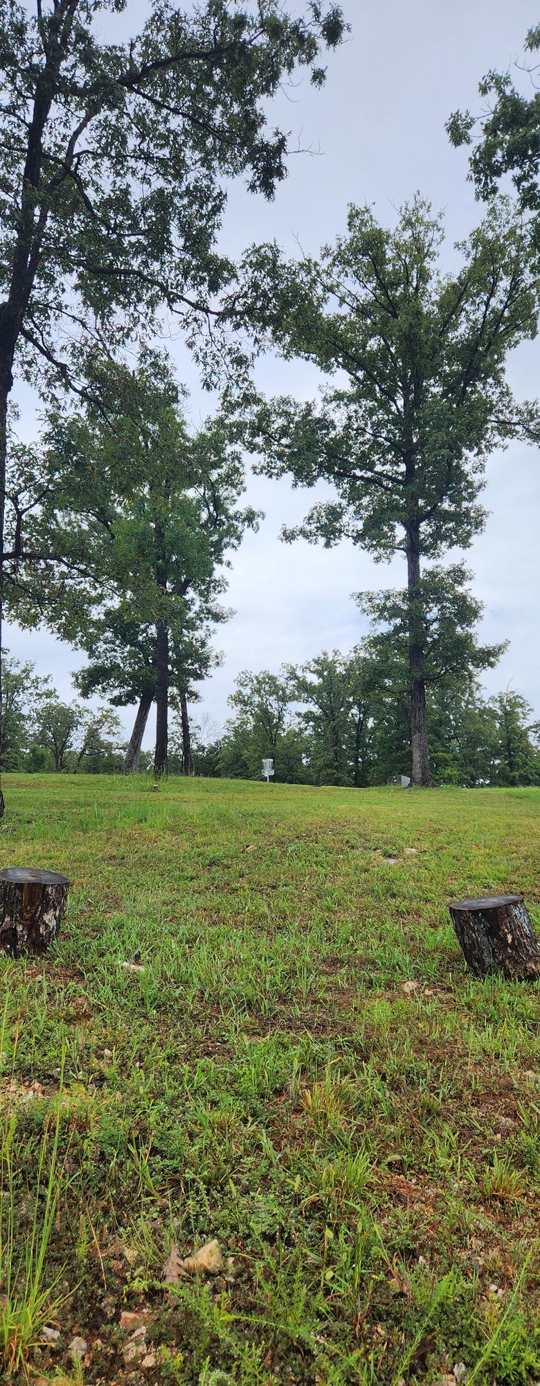 Hole 3