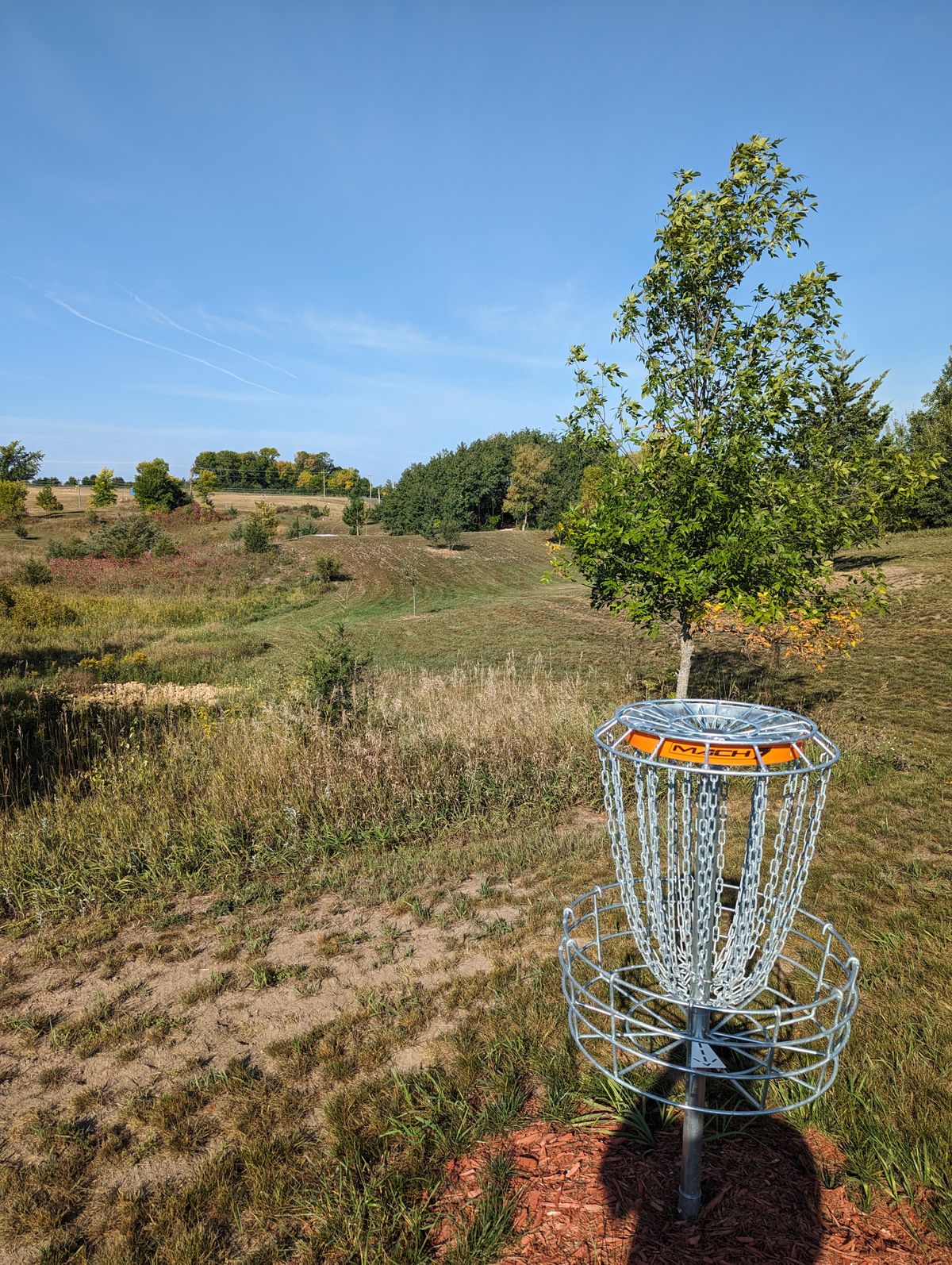 Short Basket looking back at fairway