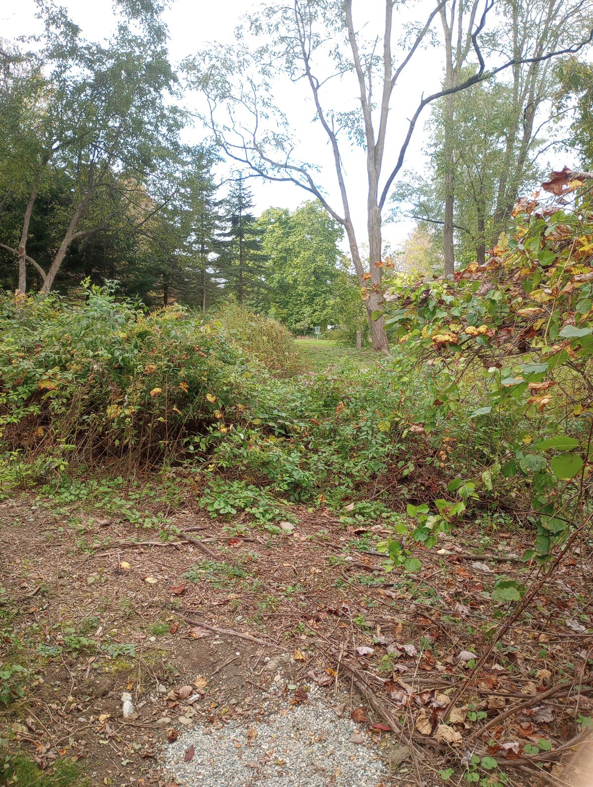 Tee
Short
Early Fall